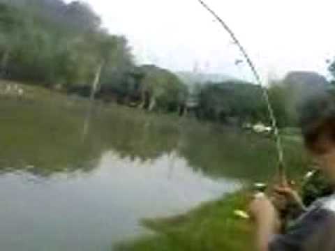 memancing ikan